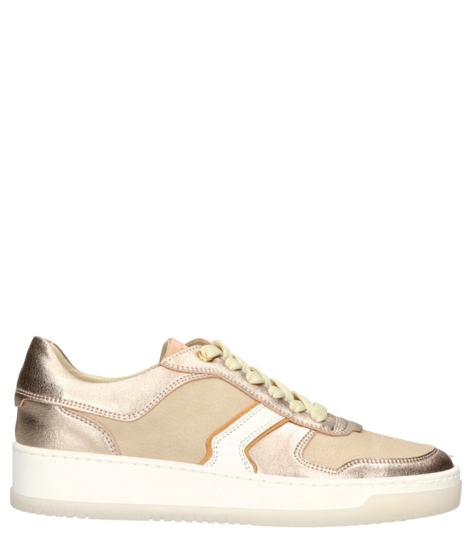 DL-Sport sneaker <span>6201 Versione 03</span> 6201 Versione 03 goud - www.bremmerschoenen.pro - Bremmer Schoenen