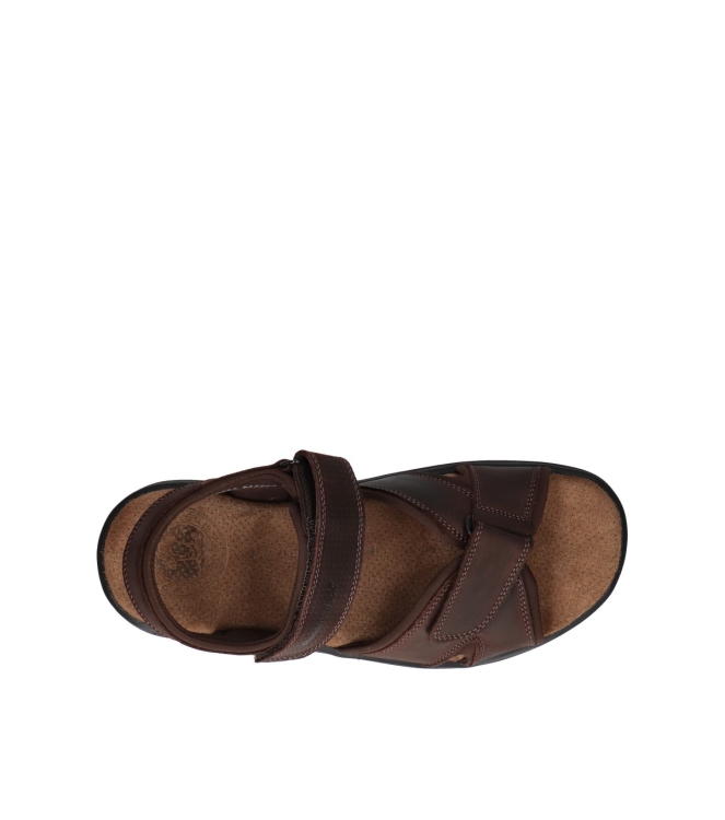 Panama Jack sandalen <span>Sanders Basics C1</span> Sanders Basics C1 bruin - www.bremmerschoenen.pro - Bremmer Schoenen