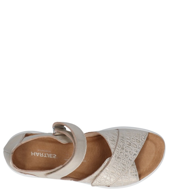 Hartjes sandaal <span>132.2101 40/40 Pop</span> 132.2101 40/40 Pop goud - www.bremmerschoenen.pro - Bremmer Schoenen
