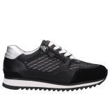 Kleur Zwart