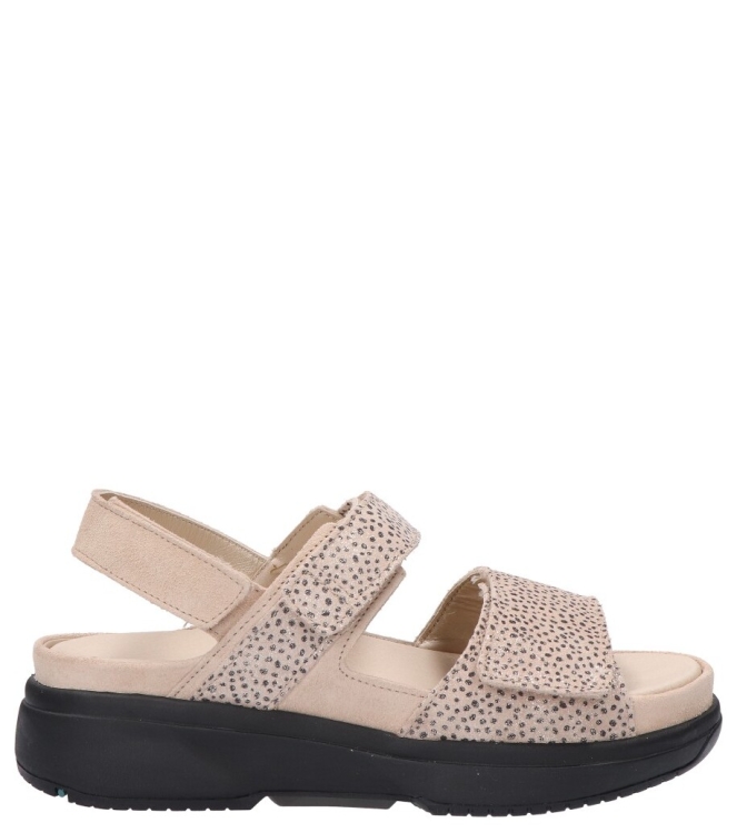 Xsensible sandaal <span>30700.5 446 Aruba G-H</span> 30700.5 446 Aruba G-H beige - www.bremmerschoenen.pro - Bremmer Schoenen