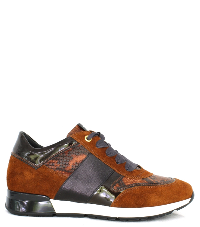 DL-Sport DL-sport sneaker <span>4439 versione 21</span> bruin combi DL-sport sneaker <span>4439 versione 21</span> 4439 versione 21 bruin - www.bremmerschoenen.pro - Bremmer Schoenen